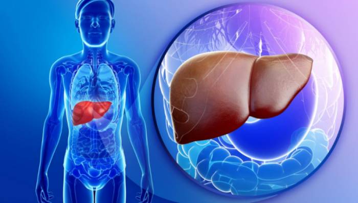 увеличенная печень