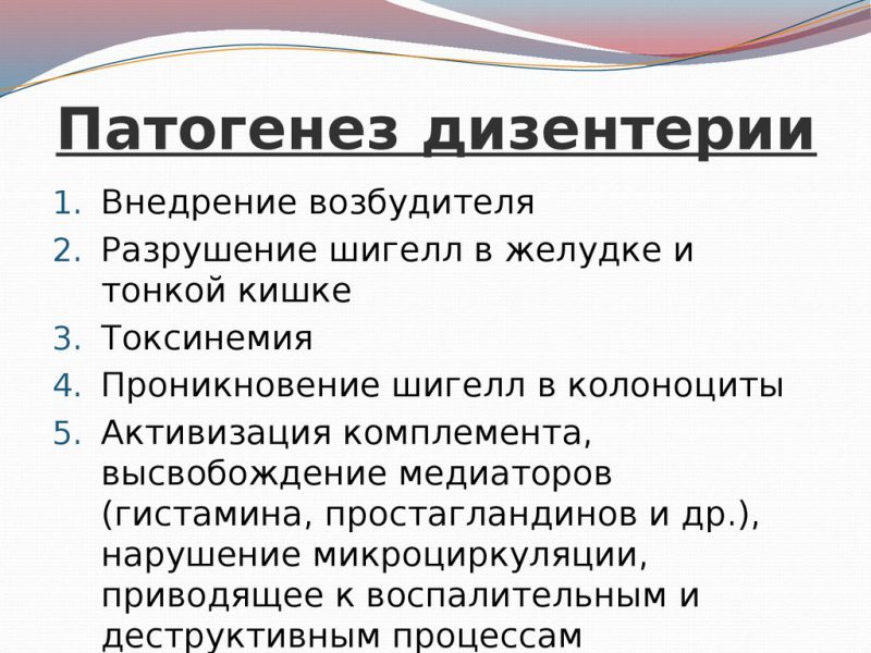 Дизентерия