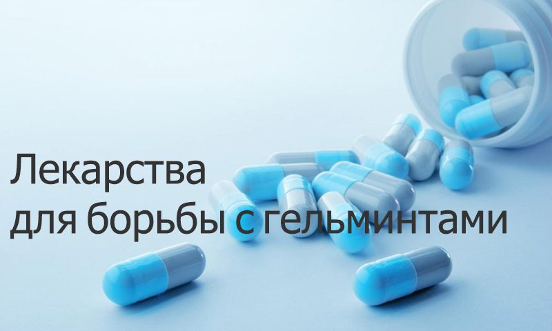лекарства для борьбы с гельминтами