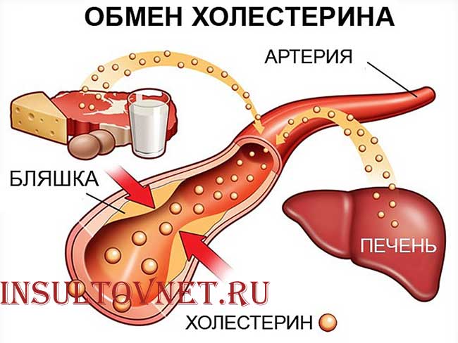холестерин