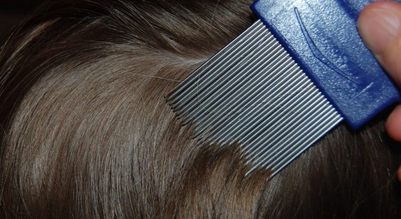 вычесывание вшей