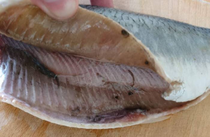 рыба с глистами