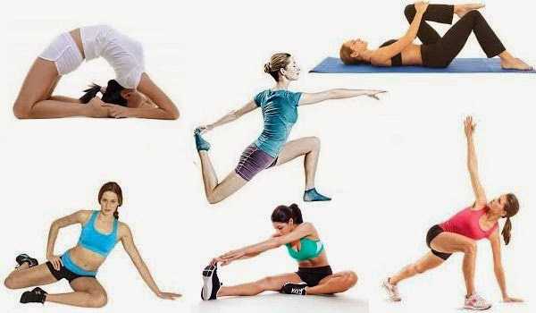 Основные упражнения на растяжку Основные упражнения на растяжку