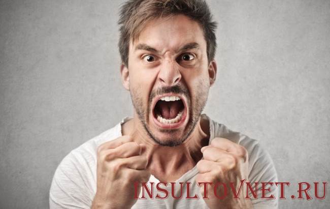 Агрессивное поведение