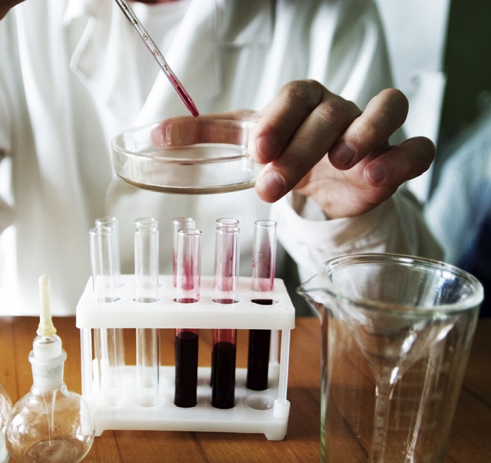 Анализ крови на наличие в организме глистов