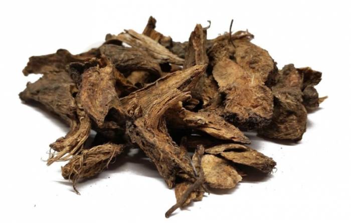 Корень девясила