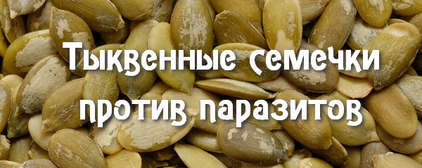 средства из тыквенных семечек
