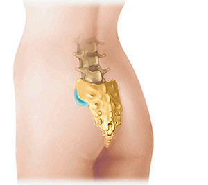 Крестец Крестец является окончанием позвоночника