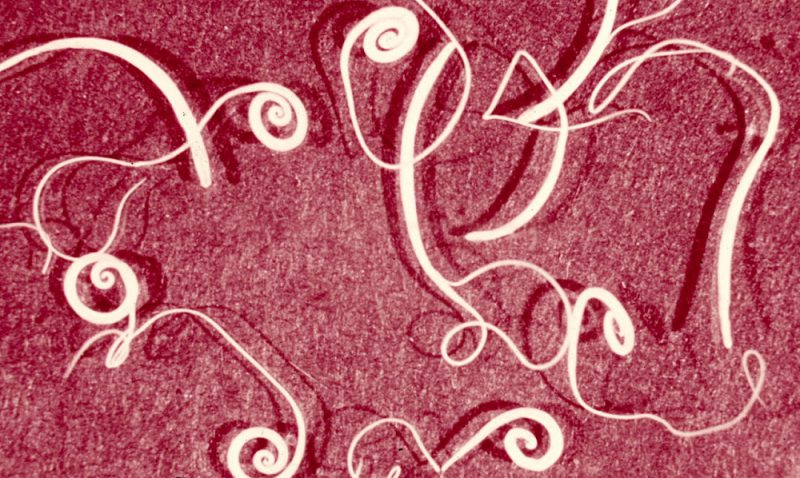 трихинеллез