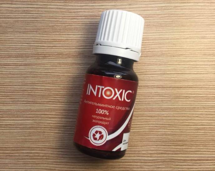 Интоксик