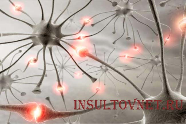 Этиология эпилепсии