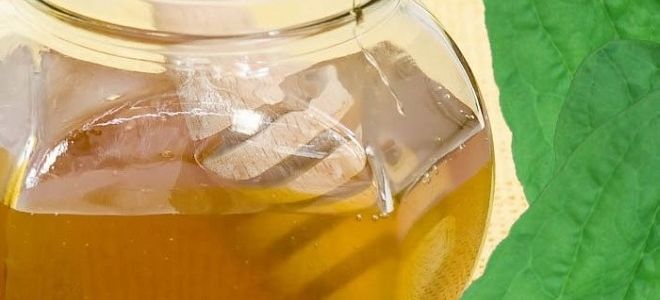 Рецепты народных средств для лечения лямблиоза у детей