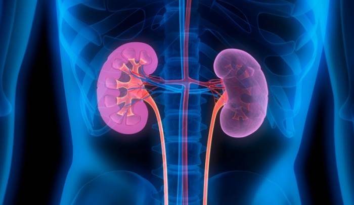 воспаление почек