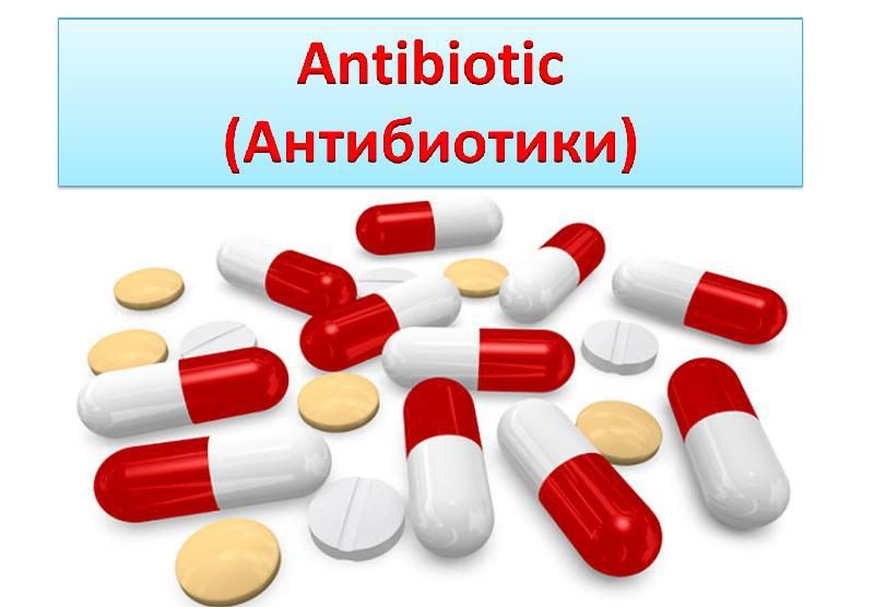 Антибиотики