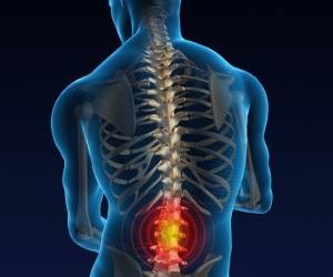 mezhpozvonocnye_gryzi