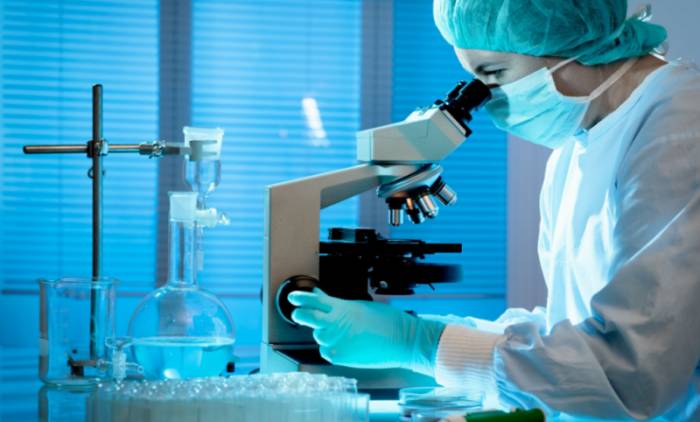 лабораторные исследования