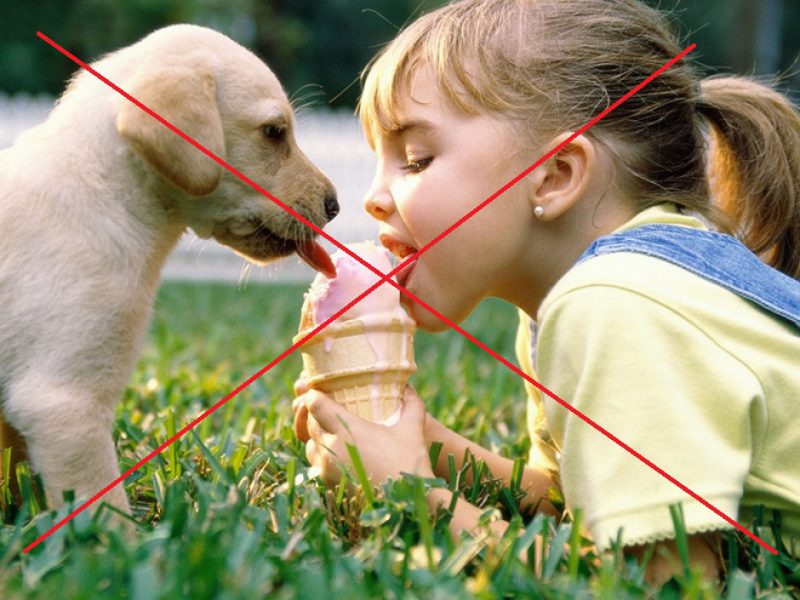 как можно заразиться глистами