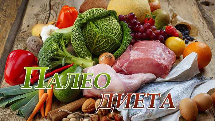 u041fu0430u043bu0435u043e u0434u0438u0435u0442u0430