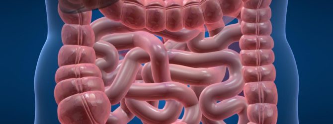 вещество абсорбируется в кишечнике и печени