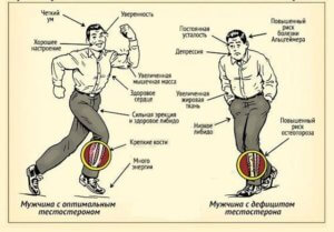 Преимущества повышенного тестостерона