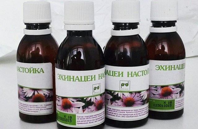 Настойка эхинацеи детям