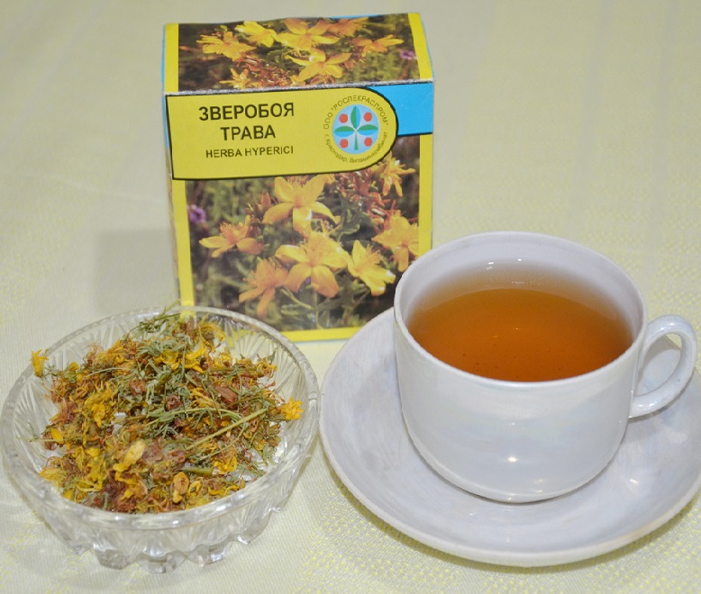 Трава зверобой и чашка с травяным чаем на основе зверобоя