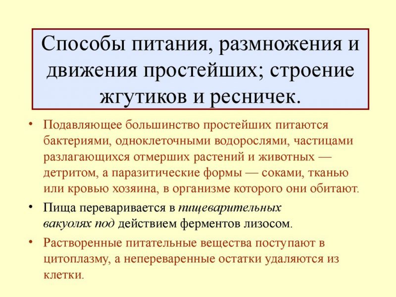 размножения и движения простейши