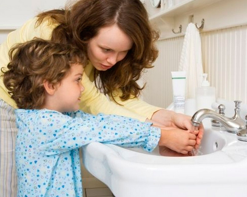 Представители ленточных червей Мытье рук