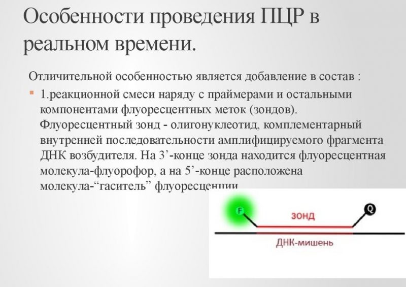 ПЦР Полимеразная цепная реакция
