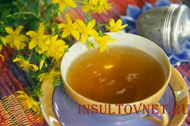 Настой зверобоя при головной боли