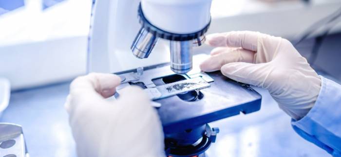 исследование анализов