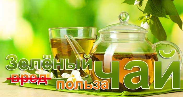 Польза и вред зеленого чая