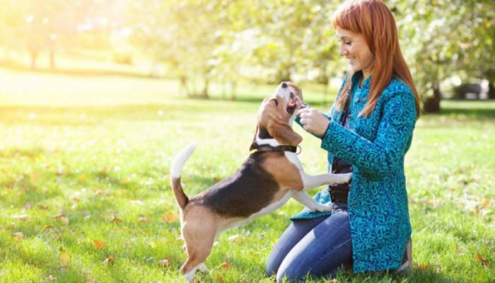 человек с собакой