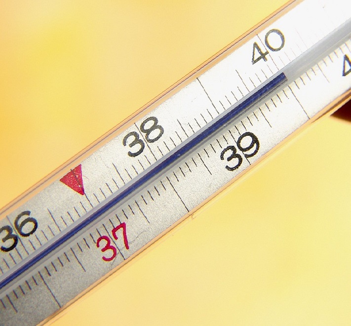 Температура тела 40 градусов возможный симптом описторхоза