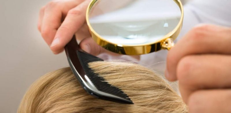 проверка головы на вши