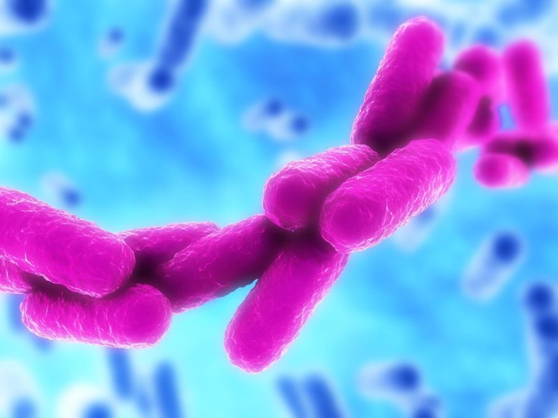 симптомы Клебсиелла окситока