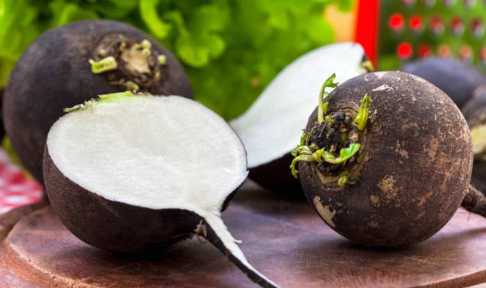 черная редька