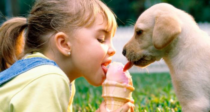 девочка с собакой