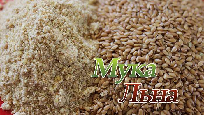 u041bu044cu043du044fu043du0430u044f u043cu0443u043au0430