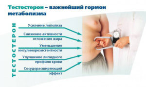 Что повышает тестостерон у мужчин