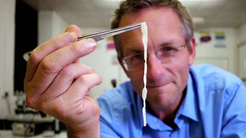 глисты у человека