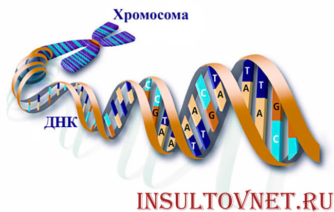 генетический материал