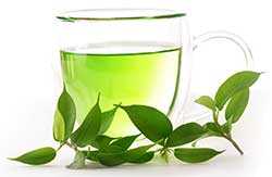 Зеленый чай Зеленый чай