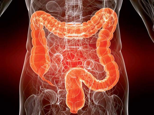 влияние на кишечник