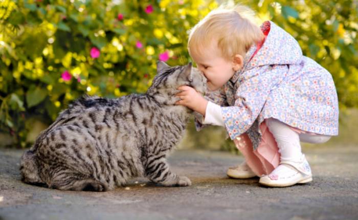 ребенок с котом