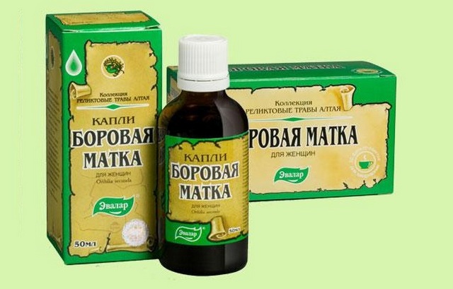 Настойка боровой матки и красной щетки