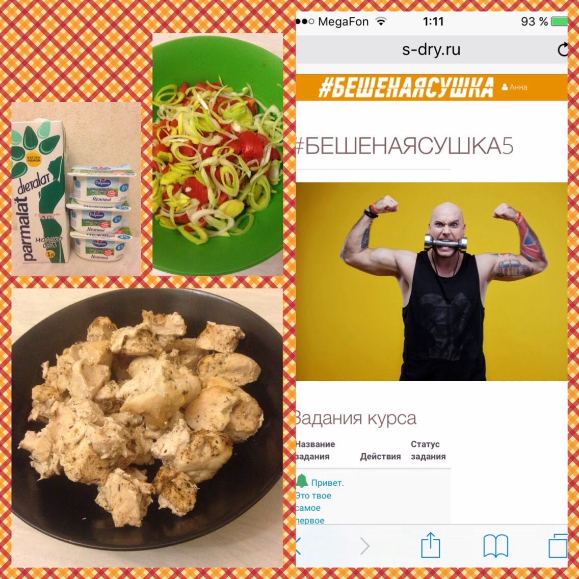 Проект Бешеная сушка