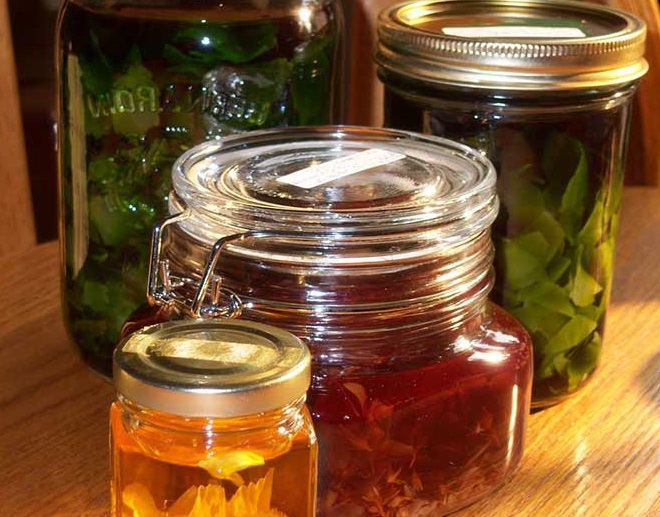 Настойки на основе трав от паразитов