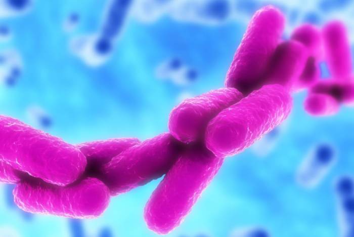 Клебсиелла