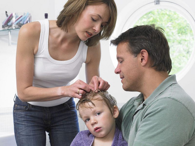 вши у ребенка